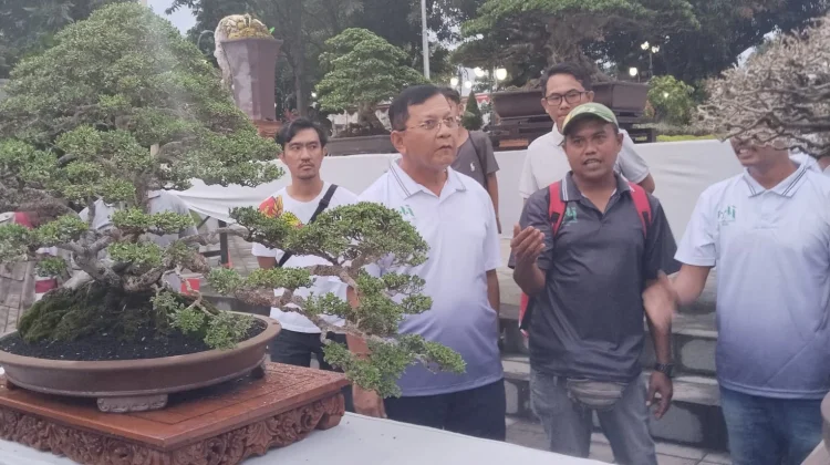 Kalpataru Bonsai 2026 Dongkrak Ekonomi dan Promosikan Buleleng