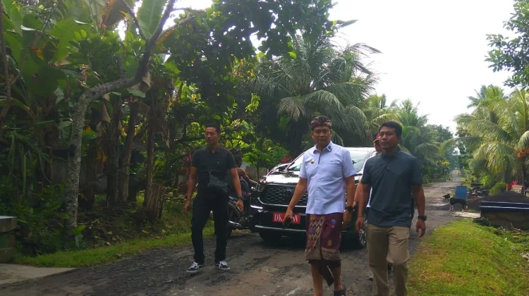 Bupati Jembrana Tinjau Jalan Rusak di Melaya