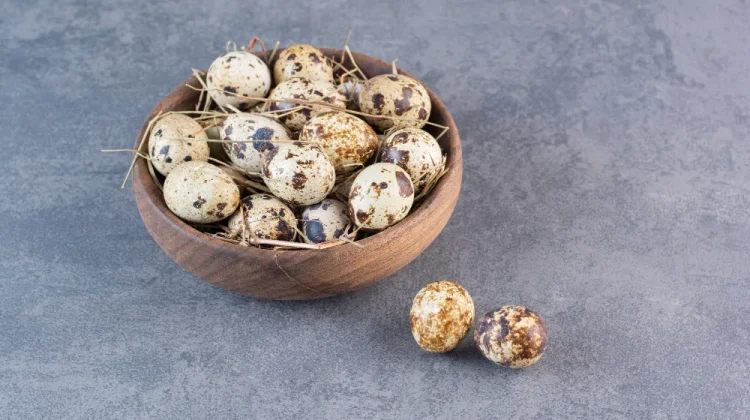 Telur Puyuh untuk MPASI? Cek manfaatnya!