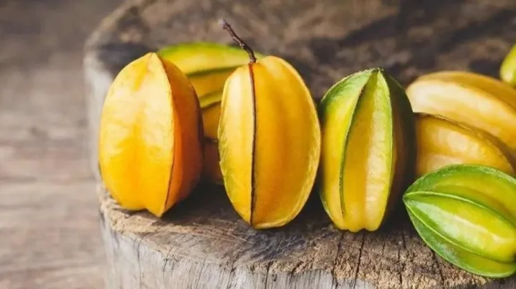 Kandungan Gizi Buah Belimbing yang Baik Bagi Tubuh