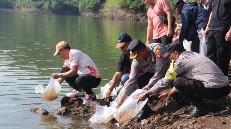 Meriahkan HUT Singaraja, Pemkab Buleleng Tebar 30 Ribu Benih Ikan