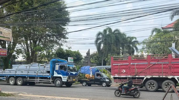 Antrean Mudik Gilimanuk Mengular, Pemudik Menunggu 24 Jam