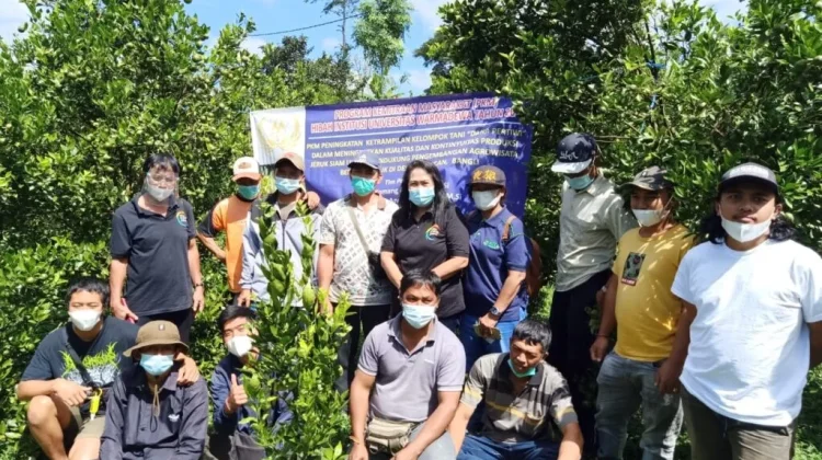 Strategi Teknologi Stabilisasi Bioaktif Kulit Jeruk Siam Kintamani