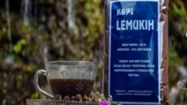 Tren Kopi Lokal Buleleng Dorong UMKM Naik Kelas Secara Digital