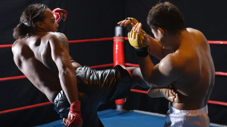 Perkembangan Combat Sport Indonesia