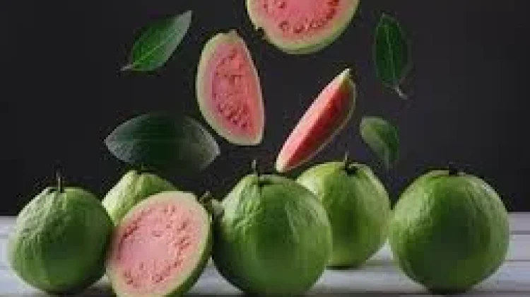 Jambu Biji: Buah Sederhana dengan Segudang Manfaat yang Luar Biasa