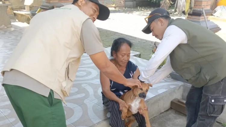 Tim Vaksinasi Dikerahkan, Kasus Rabies Jembrana Dikendalikan