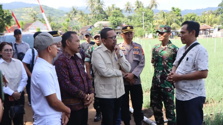 Kunjungan KSP di Buleleng Tegaskan Peran Petani dalam Stabilitas Pangan Nasional