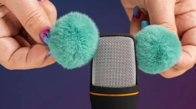 Hari ASMR Internasional, Peringatan 9 April