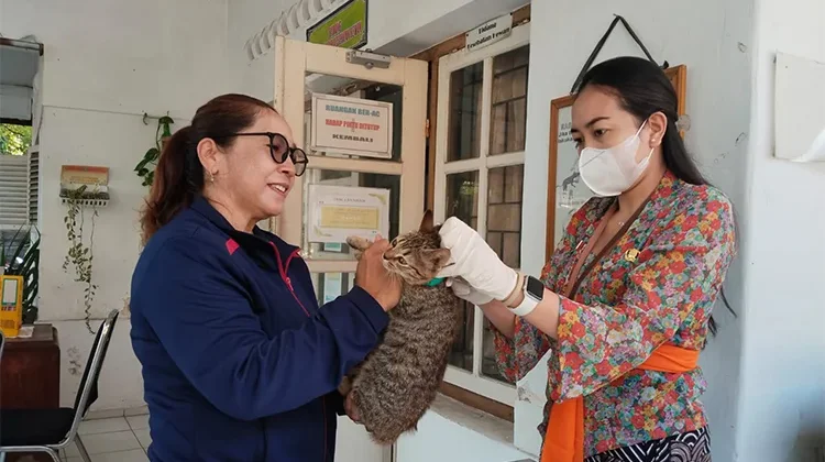 Distankan Buleleng Gencarkan Vaksin Rabies