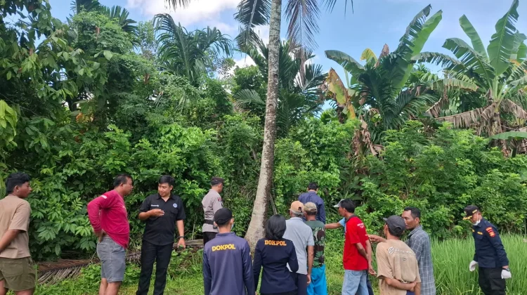 Jatuh dari Pohon Kelapa, Warga Melaya Meninggal