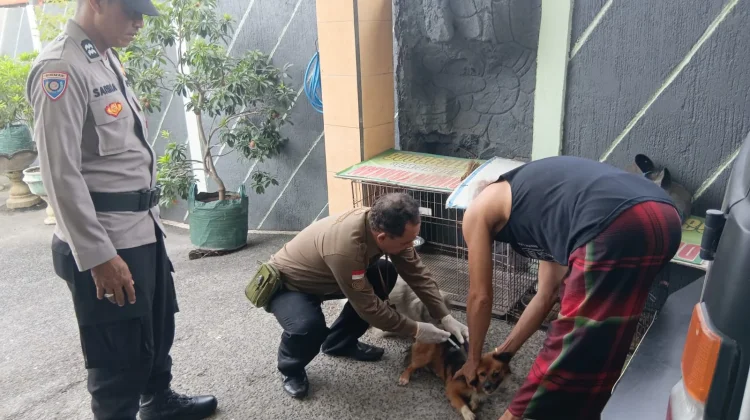 Cegah Rabies, Distankan Buleleng Intensifkan Layanan Vaksinasi