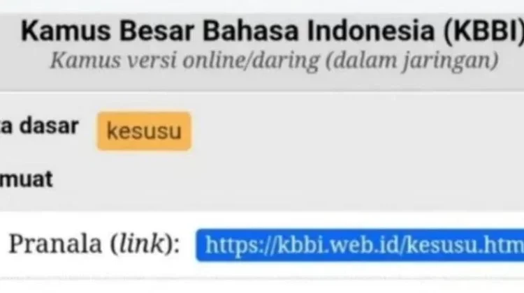 “Kesusu” Kini Resmi Masuk KBBI, Bahasa Gaul Jadi Baku