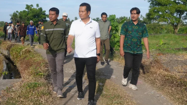 Bupati Kembang Tinjau Langsung Proyek Rabat Beton Jalan Banjar Loloan Medewi