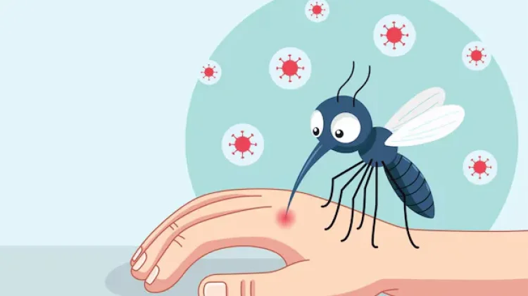 Imunitas Lemah Tingkatkan Risiko Demam Berdarah Dengue