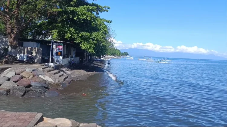 Banyuasri Kembangkan Konservasi Tukik dan Ekowisata Bahari