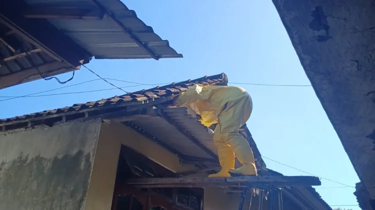 Warga Yehsumbul Minta Bantuan Damkar Tangani Sarang Tawon