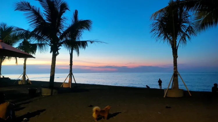 Senja di Pantai POP Hotel Singaraja Bali, Suasana Tenang yang Menenangkan