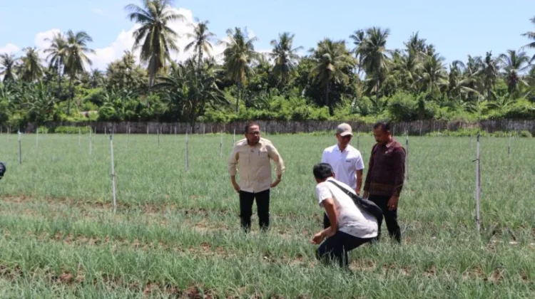 Gerokgak Diproyeksi Jadi Kawasan Strategis Ketahanan Pangan RI