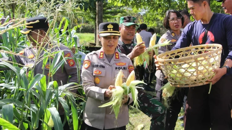 Polres Jembrana Salurkan Hasil Panen Jagung untuk Program MBG