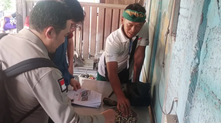 Jalani Verifikasi Lapang, Batu Pulaki Selangkah Lagi Kantongi Sertifikat IG
