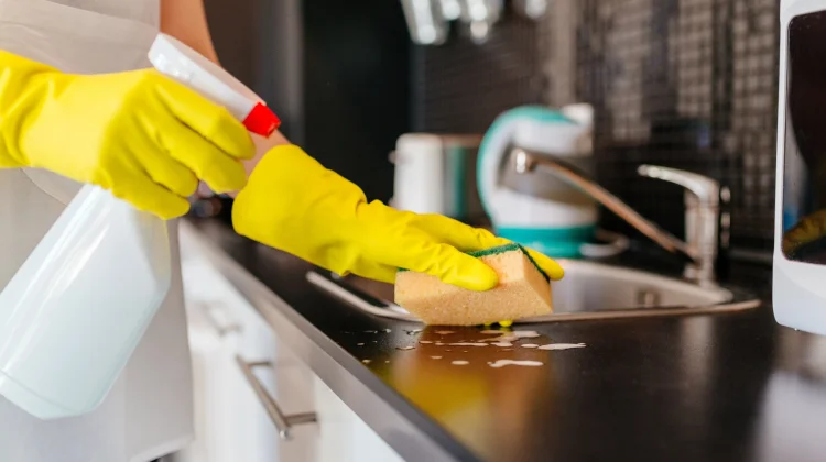 Tips Jaga Higienitas Dapur Rumah agar Terhindar Dari Kuman Penyakit