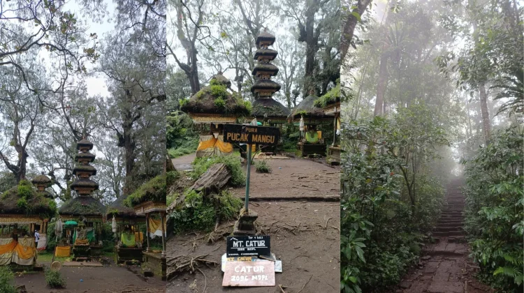 Gunung Catur, Pendakian Ramah Pemula dengan Nuansa Alam dan Spiritual di Bali