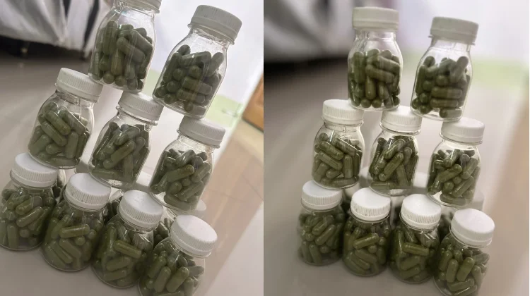 Mengupas Khasiat Kapsul Moringa Oleifera: Ekstrak Daun Kelor untuk Kesehatan
