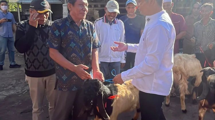 Bupati Salurkan Hewan Kurban ke 69 Masjid untuk Iduladha