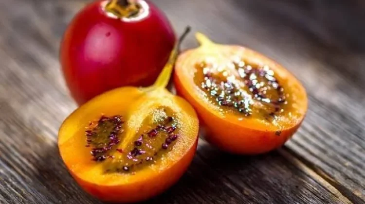 Terong Belanda Kaya Nutrisi, Ini Manfaatnya bagi Kesehatan Tubuh