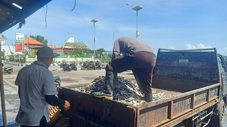 Tender Pengembangan PPN Pengambengan Masuki Tahap Evaluasi Akhir