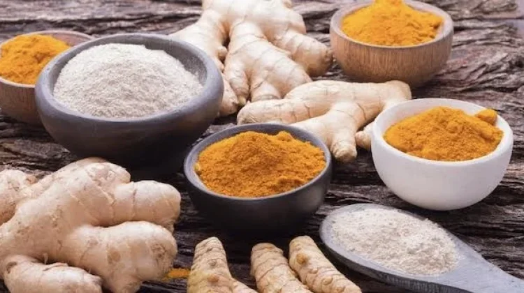 Menelusuri Akar Sejarah Jamu Nusantara
