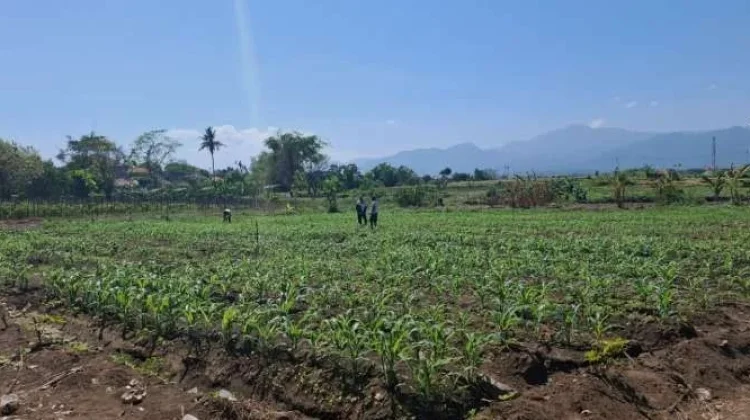 Jembatan Banyuasri Segera Dibangun, Tender Dimulai Juni 2026