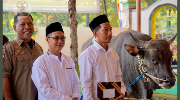 Masjid Ar-Rahmah Tegallinggah Terima Sapi Kurban Presiden Seberat 868 Kilogram