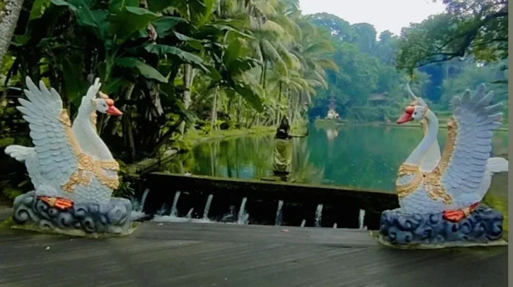 Daya Tarik Tirta Taman Mumbul Sangeh, Perpaduan Wisata Alam dan Spiritual di Bali