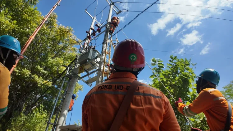 PLN Perkuat Pasokan Listrik, Sumberkima Hills Siap Layani Wisatawan