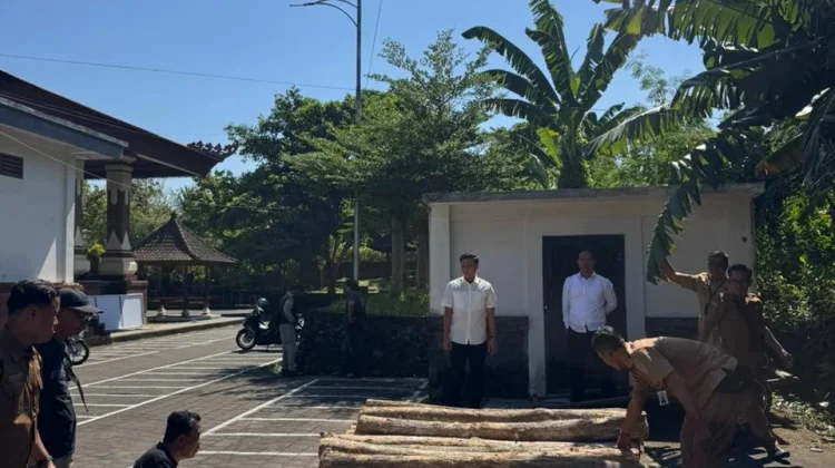 Polres Jembrana Amankan Puluhan Gelondong Kayu Jati Dugaan Illegal Logging