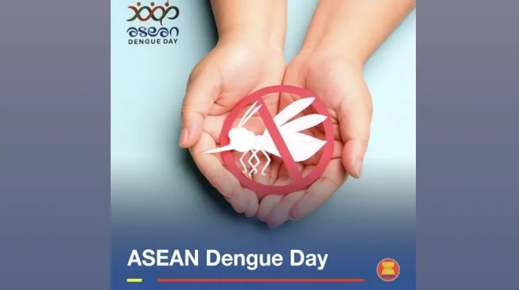 Peringatan Hari Demam Berdarah Dengue ASEAN, Ini Sejarahnya