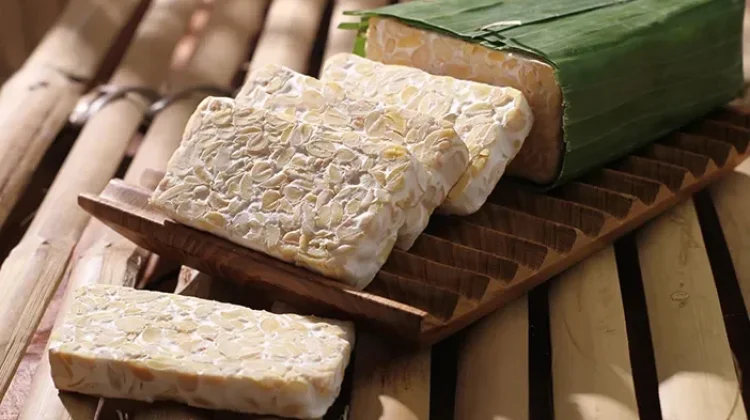 Menakar Kandungan Gizi Tempe Sebagai Sumber Protein Nabati