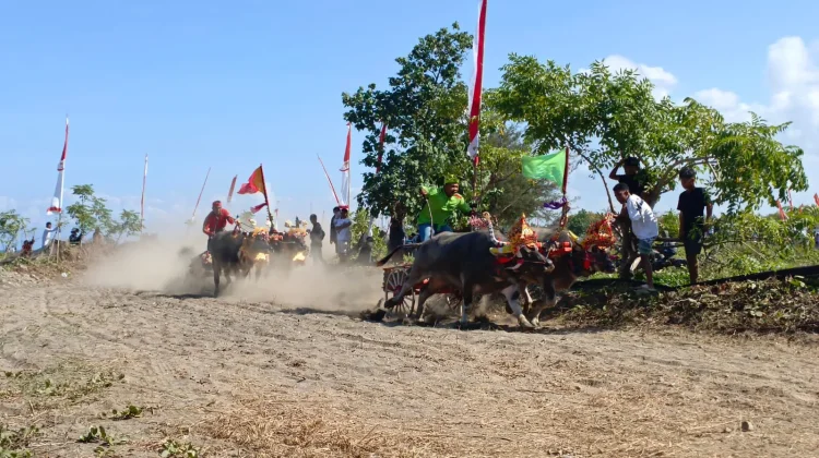 Makepung Kapolda Bali Cup 2026 Semarakkan Hari Bhayangkara ke-80