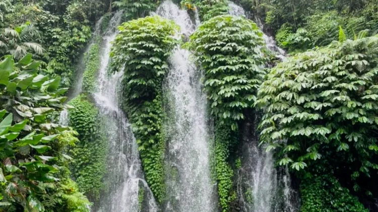 Tren Touch Some Grass Dorong Minat Wisata Alam di Buleleng