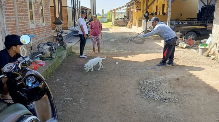 Cegah Penyebaran Rabies, Vaksinasi HPR di Banjar Tangi Diperluas