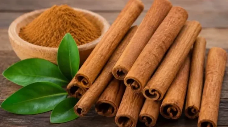 Pesona Kayu Manis, Rempah Aromatik Andalan Indonesia