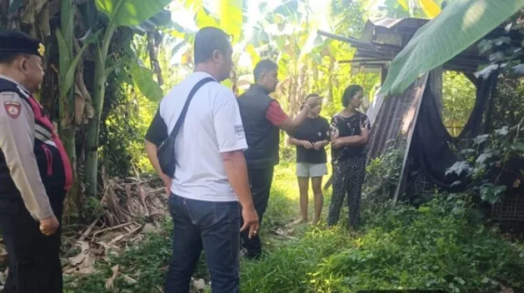 Lima Ekor Babi Warga Gerokgak Raib, Polisi Dalami Kasus Pencurian