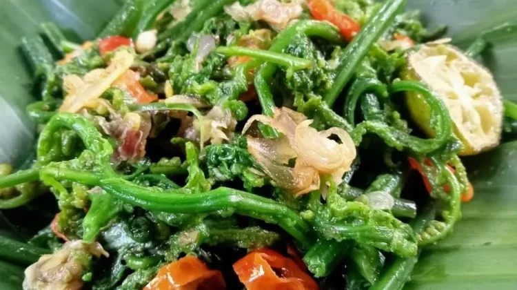 Resep Rumahan Sayur Pakis Sambal Embe, Menu Sederhana dengan Cita Rasa Khas Bali