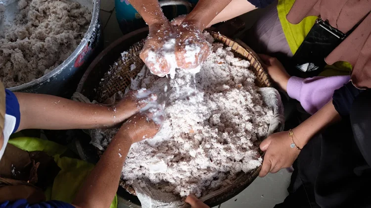 Mengenal Proses Pembuatan Minyak Kelapa Asli yang Alami