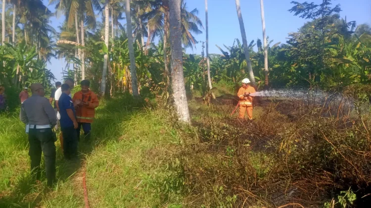 Diduga akibat Puntung Rokok, Kebun Kosong di Mendoyo Terbakar