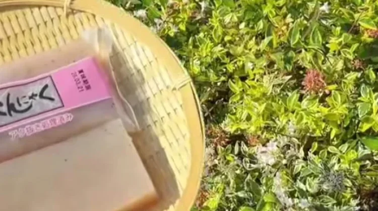 Konnyaku: Superfood Rendah Kalori dari Jepang yang Bikin Kenyang Lebih Lama