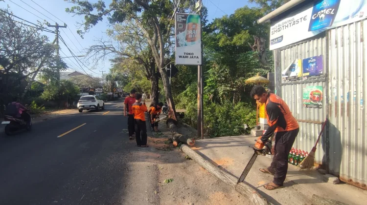 Dahan Mahoni Patah, Warung Sempat Tertutup