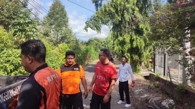 Pohon Cemara Tumbang, Timpa Jaringan Kabel